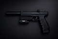 Wandhouder / Wall Mount voor Vesta Sentinel PWD50 – stevig, netjes en altijd binnen handbereik